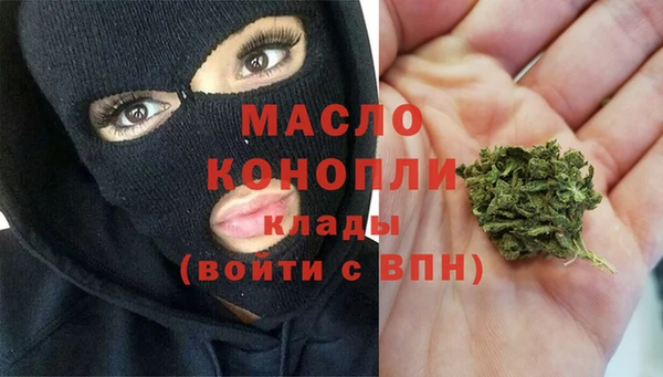 индика Волосово